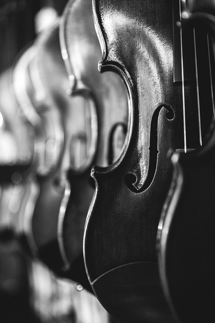 violins